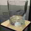 a6a53279-12b3-4368-ace9-f87652671bd1 Robin (Batman) Drink Coaster