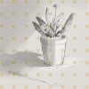 Indoor Plants MEGA PACK 200 Laser Ready Images