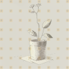 Indoor Plants MEGA PACK 200 Laser Ready Images