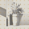 Indoor Plants MEGA PACK 200 Laser Ready Images