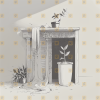 Indoor Plants MEGA PACK 200 Laser Ready Images